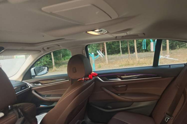 Used BMW 5 Series 2019 Facelifted 525Li Luxury Package Headliner