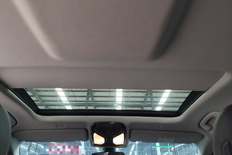 Used BMW 5 Series 2019 525Li Luxury Package Headliner