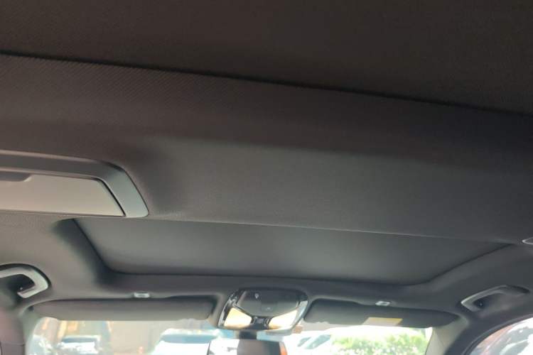 Used BMW 5 Series 2019 530Li Leading Model M Sport Package Headliner