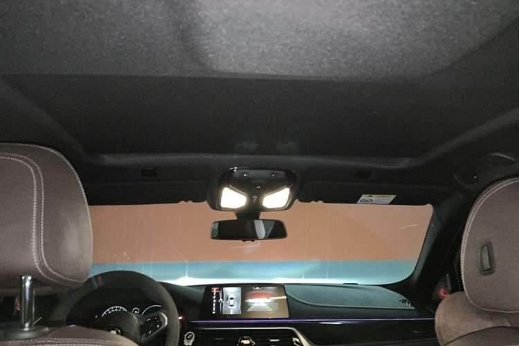 Used BMW 5 Series 2019 525Li M Sport Package Headliner