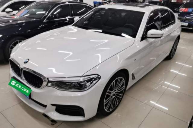 Used BMW 5 Series 2019 530Li Luxury Edition M Sport Package