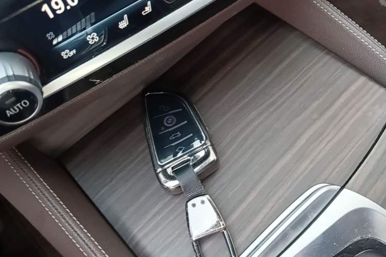 Used BMW 5 Series 2019 Facelifted 530Li Luxury Edition Premium Package Interior 1