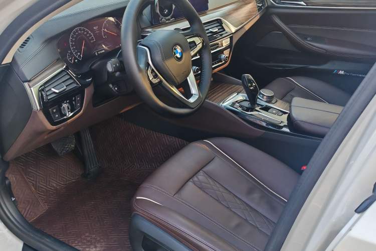 Used BMW 5 Series 2019 530Li Leading Model Luxury Package Interior 10