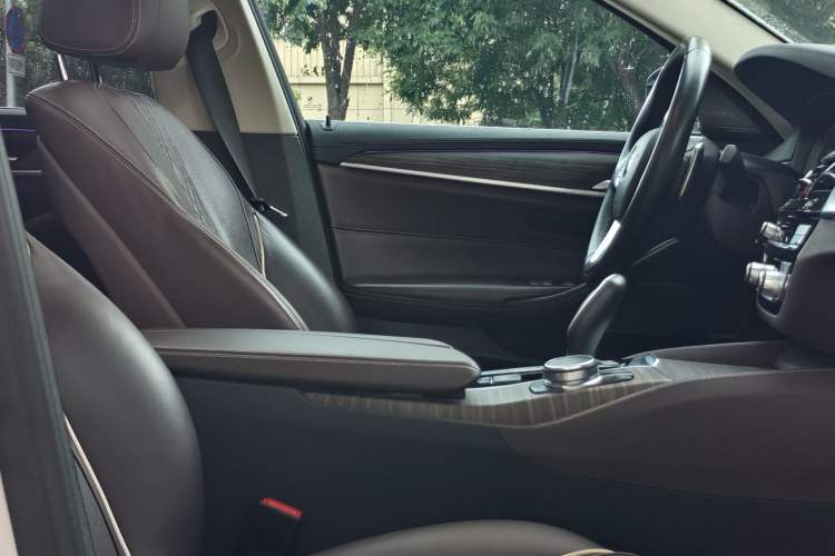 Used BMW 5 Series 2019 Facelifted 530Li Luxury Edition Premium Package Interior 7