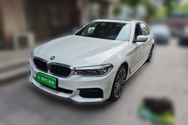 Used BMW 5 Series 2019 530Li Luxury Edition M Sport Package