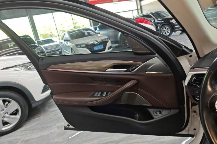 Used BMW 5 Series 2019 530Li xDrive Luxury Package Left Front Door Interior