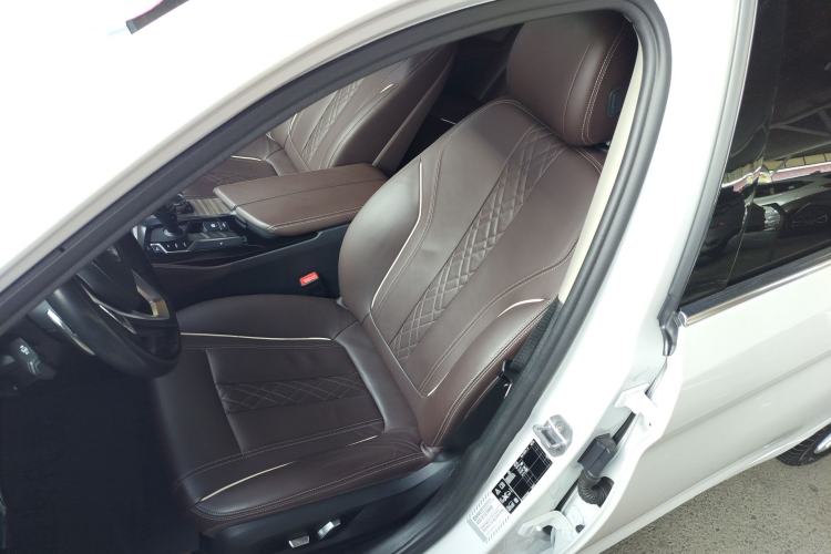 Used BMW 5 Series 2019 530Li xDrive Luxury Package Left Front Seat