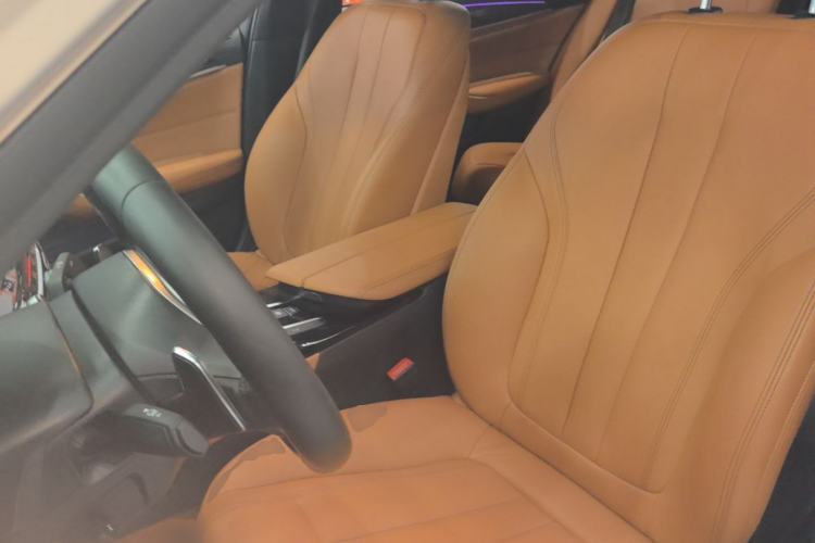 Used BMW 5 Series 2019 530Li Leading Model M Sport Package Left Front Seat