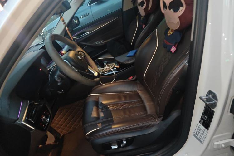 Used BMW 5 Series 2019 530Li Luxury Edition Premium Package Left Front Seat