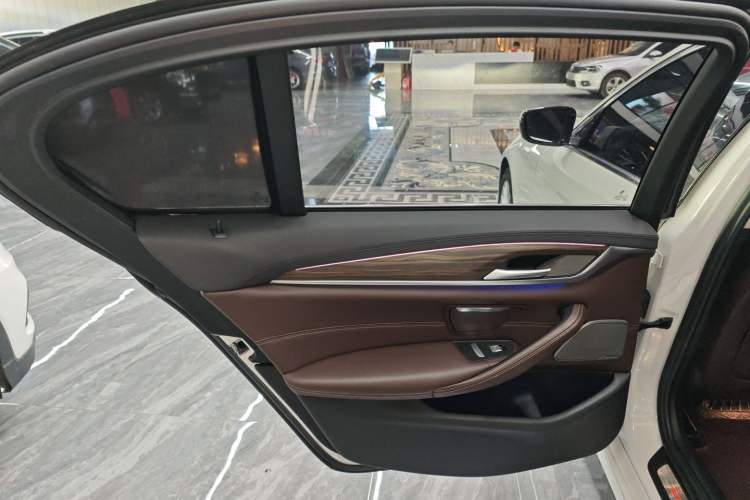 Used BMW 5 Series 2019 530Li xDrive Luxury Package Left Rear Door Interior