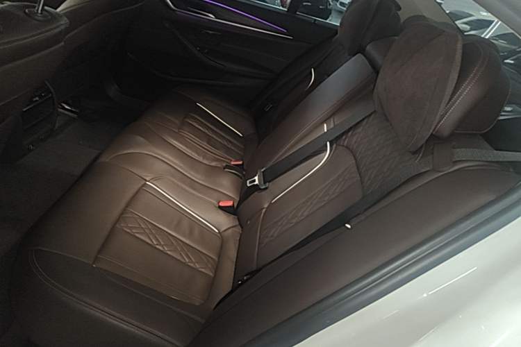 Used BMW 5 Series 2019 Facelifted 530Li Leading Edition Luxury Package Left Rear Seat