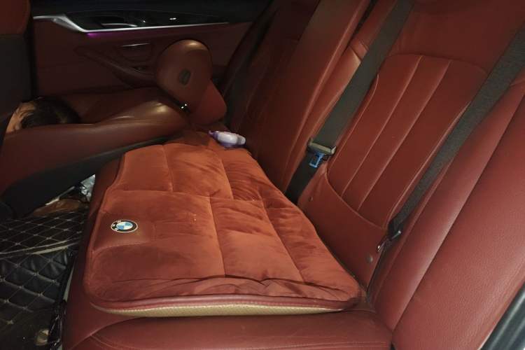 Used BMW 5 Series 2019 530Li Leading Model M Sport Package Left Rear Seat