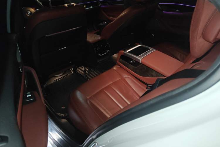 Used BMW 5 Series 2019 530Li Luxury Edition M Sport Package Left Rear Seat