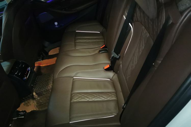 Used BMW 5 Series 2019 530Li Luxury Edition Premium Package Left Rear Seat