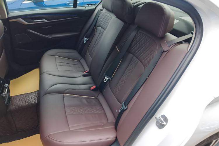 Used BMW 5 Series 2019 530Li Luxury Edition Premium Package Left Rear Seat