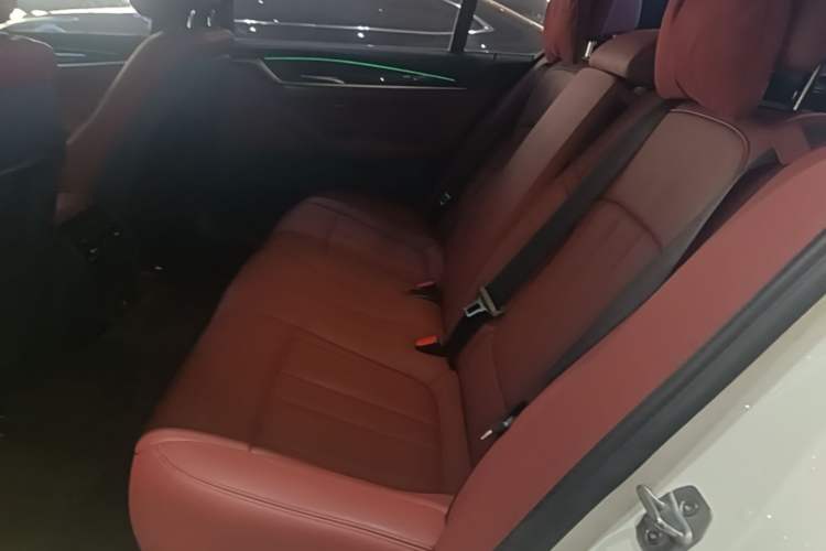 Used BMW 5 Series 2019 530Li Leading Model M Sport Package Left Rear Seat