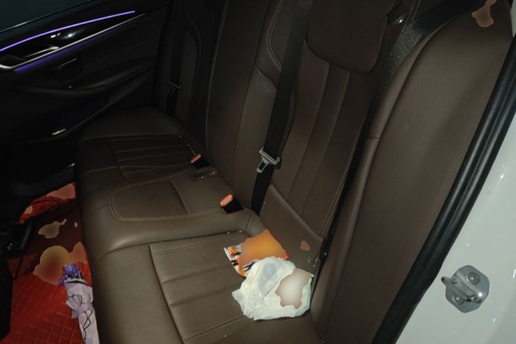 Used BMW 5 Series 2019 525Li Luxury Package Left Rear Seat