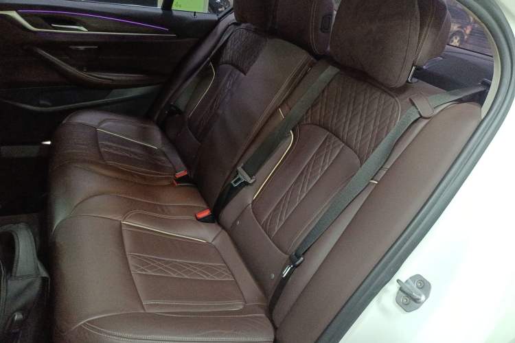 Used BMW 5 Series 2019 530Li Leading Model Luxury Package Left Rear Seat