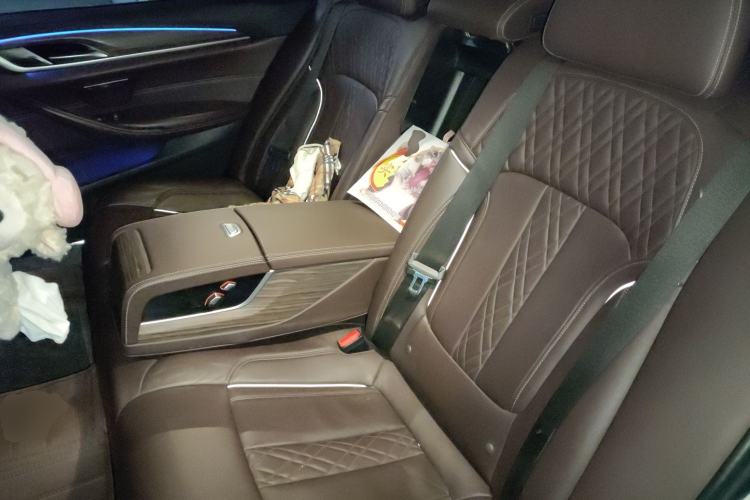Used BMW 5 Series 2019 Facelifted 530Li Luxury Edition Premium Package Left Rear Seat