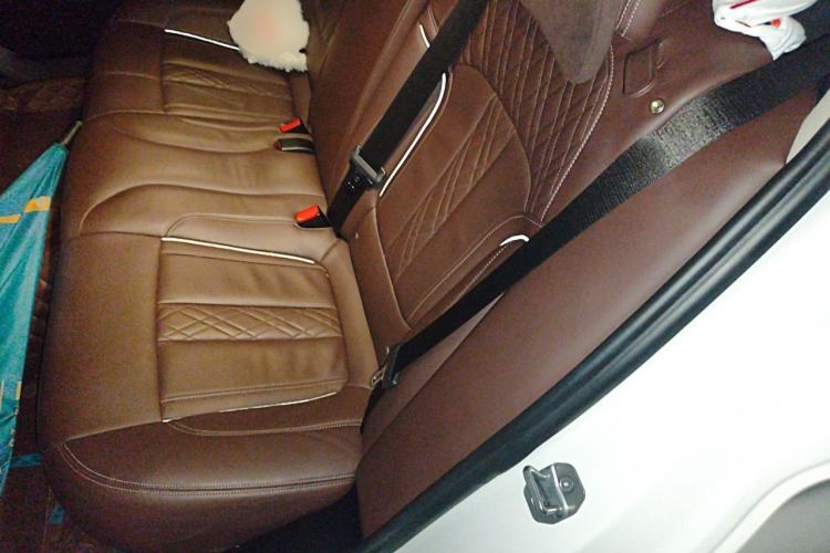 Used BMW 5 Series 2019 Facelifted 530Li Luxury Edition Premium Package Left Rear Seat