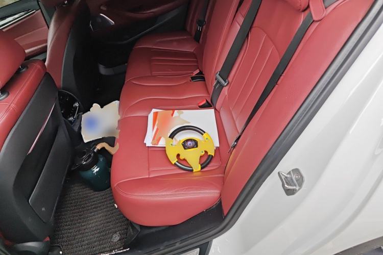 Used BMW 5 Series 2019 Restyled 530Li Luxury Edition M Sport Package Left Rear Seat