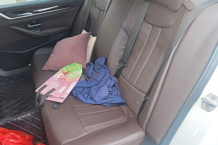 Used BMW 5 Series 2019 525Li Luxury Package Left Rear Seat