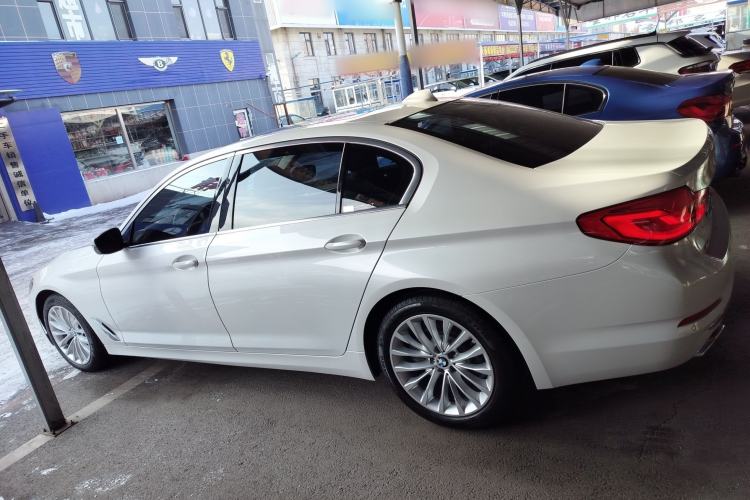 Used BMW 5 Series 2019 530Li xDrive Luxury Package Left Side