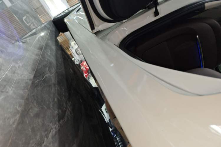 Used BMW 5 Series 2019 530Li xDrive Luxury Package Left Side Sill