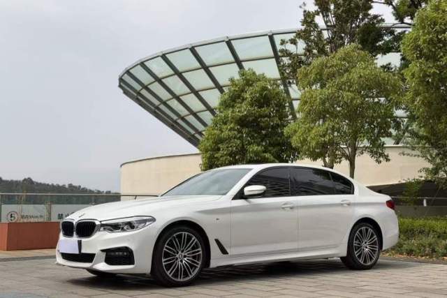 Used BMW 5 Series 2019 530Li Luxury Edition M Sport Package