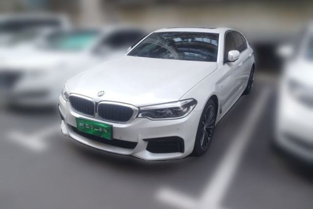 Used BMW 5 Series 2019 530Li Leading Model M Sport Package