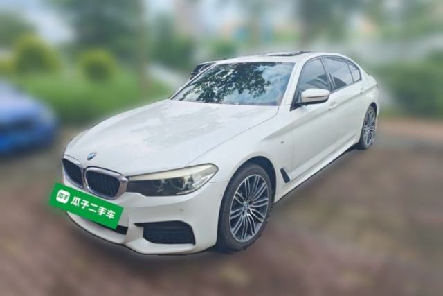 Used BMW 5 Series 2019 530Li Leading Model M Sport Package