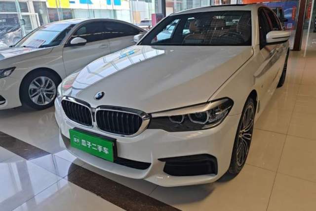 Used BMW 5 Series 2019 530Li Leading Model M Sport Package