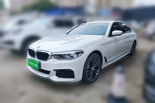 Used BMW 5 Series 2019 Restyled 530Li Luxury Edition M Sport Package