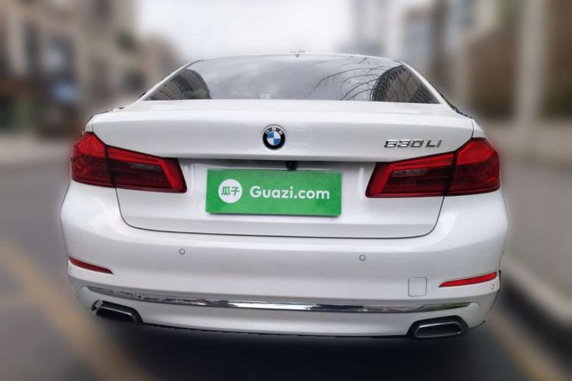 Used BMW 5 Series 2019 Facelifted 530Li Leading Edition Luxury Package Rear