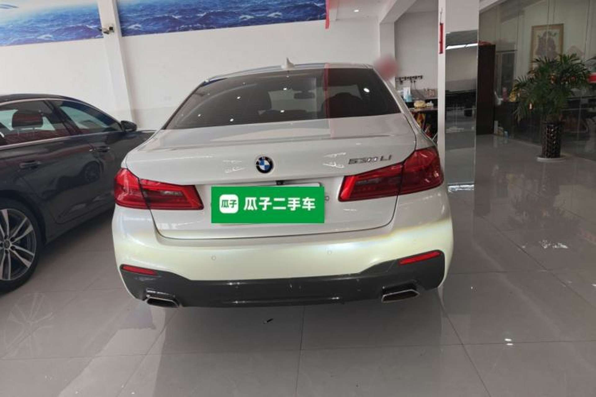 Used BMW 5 Series 2019 530Li Leading Model M Sport Package Rear