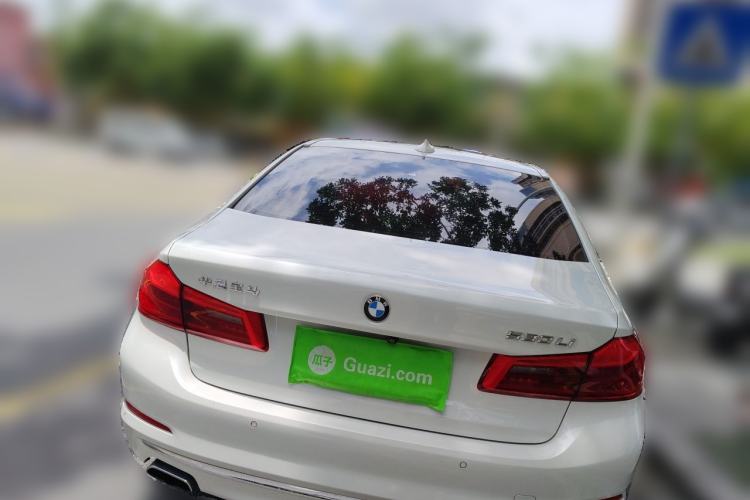 Used BMW 5 Series 2019 530Li Leading Model Luxury Package Rear
