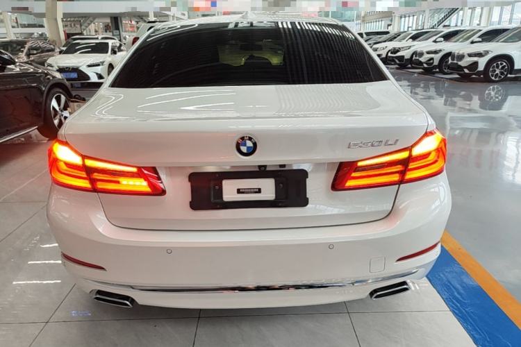 Used BMW 5 Series 2019 Facelifted 530Li Leading Edition Luxury Package Rear
