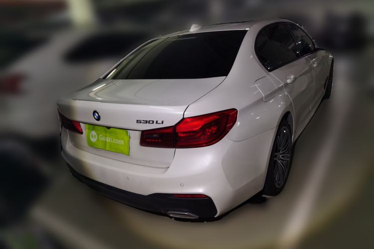 Used BMW 5 Series 2019 530Li Leading Model M Sport Package Rear