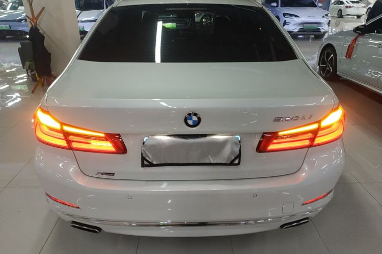 Used BMW 5 Series 2019 530Li xDrive Luxury Package Rear