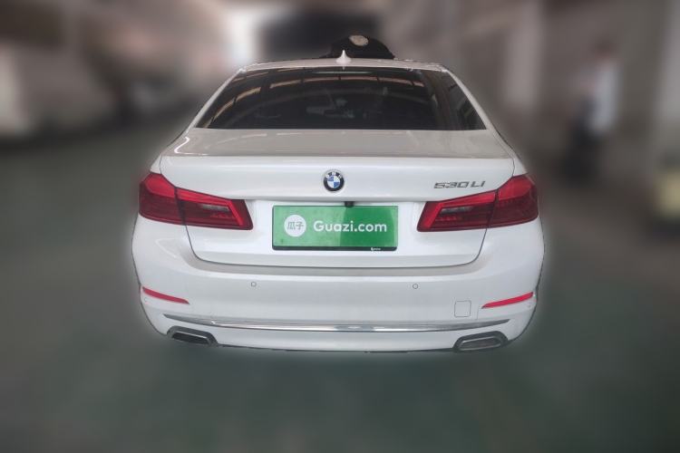 Used BMW 5 Series 2019 Facelifted 530Li Leading Edition Luxury Package Rear