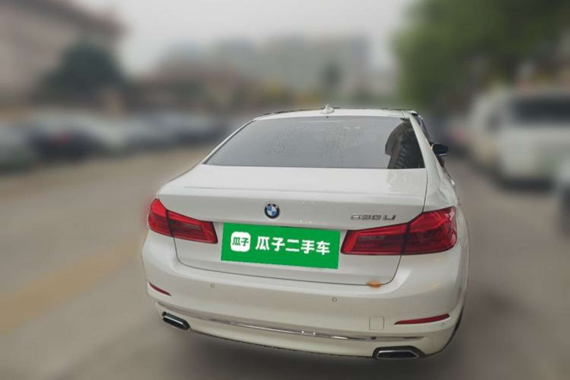 Used BMW 5 Series 2019 Facelifted 530Li Leading Edition Luxury Package Rear