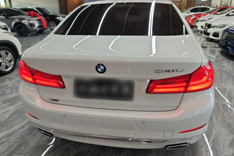 Used BMW 5 Series 2019 530Li xDrive Luxury Package Rear