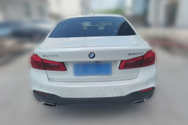 Used BMW 5 Series 2019 530Li Leading Model M Sport Package Rear