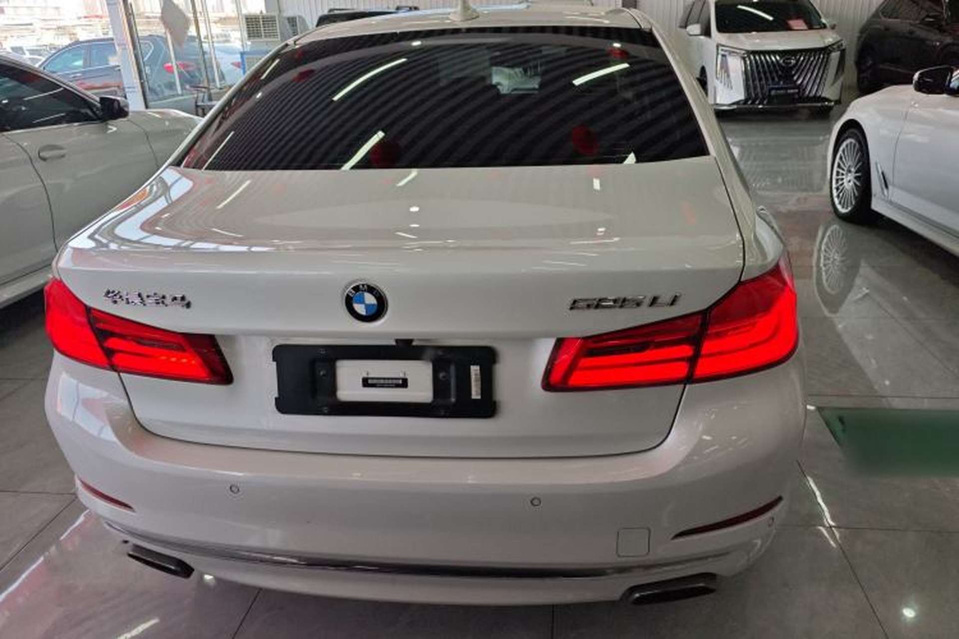 Used BMW 5 Series 2019 525Li Luxury Package Rear