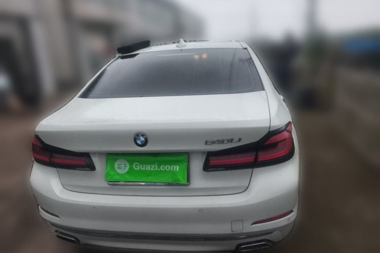 Used BMW 5 Series 2019 530Li Luxury Edition Premium Package Rear