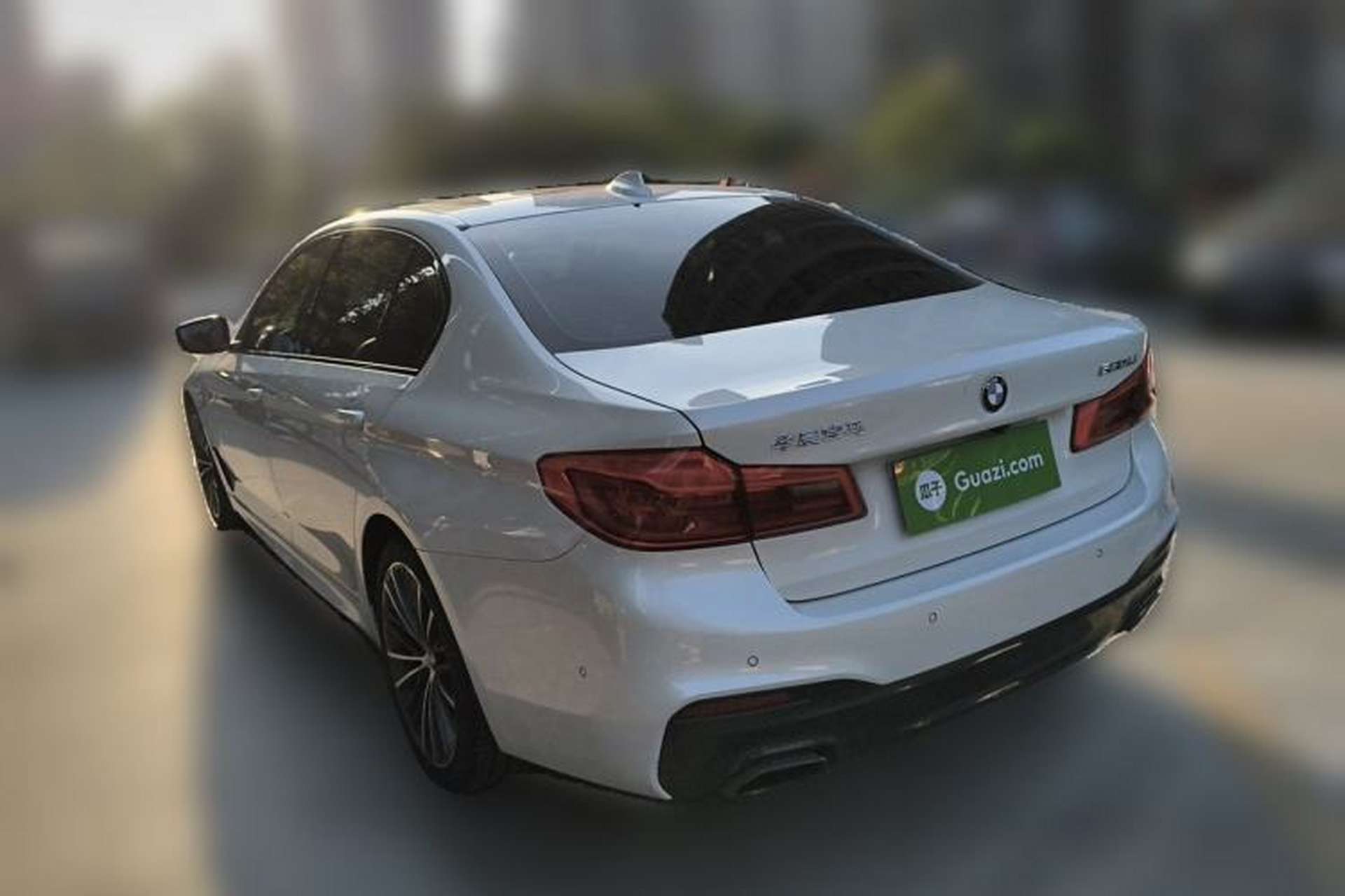 Used BMW 5 Series 2019 Restyled 530Li Luxury Edition M Sport Package Rear Left 45 Deg