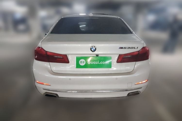 Used BMW 5 Series 2019 Facelifted 530Li Luxury Edition Premium Package Rear