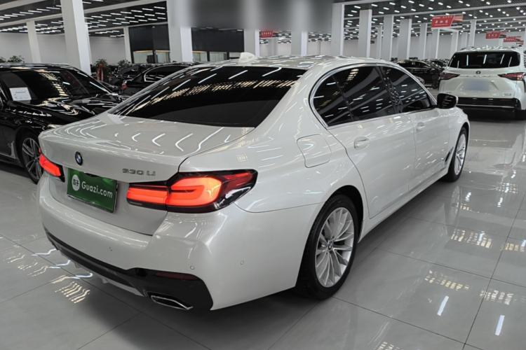 Used BMW 5 Series 2019 525Li Luxury Package Rear Right 45 Deg