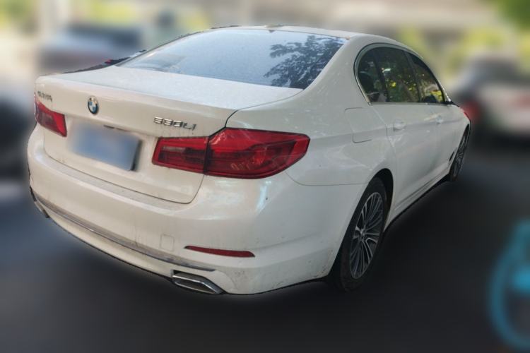 Used BMW 5 Series 2019 530Li Luxury Edition Premium Package Rear Right 45 Deg
