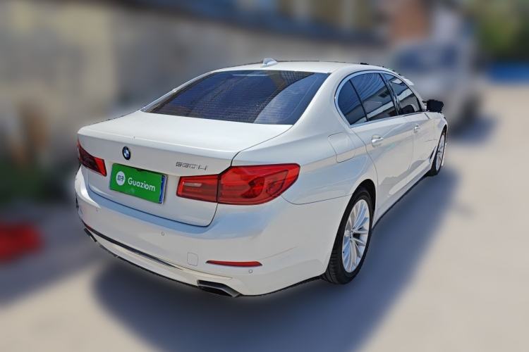 Used BMW 5 Series 2019 525Li Luxury Package Rear Right 45 Deg